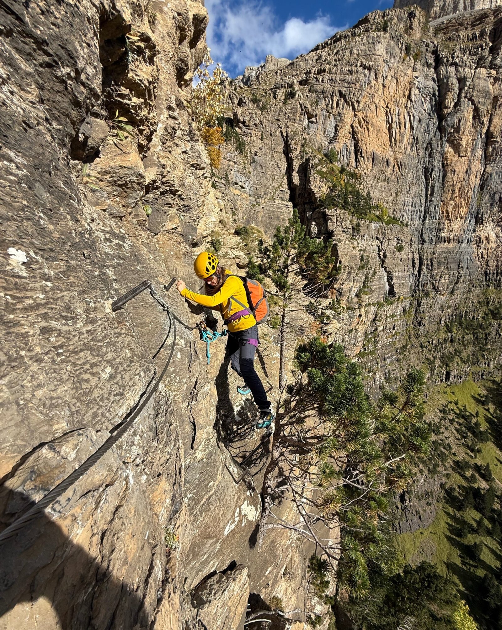 Clavijas de cotatuero, Ordesa y Monte Perdido